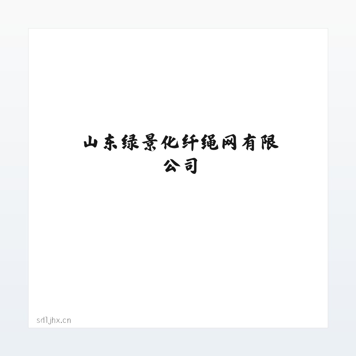 山东绿景化纤绳网有限公司 方图